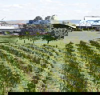 Puffing Billy Train and Yarra Valley Food and Wine Day Trip from Melbourne - Accommodation Sunshine Coast