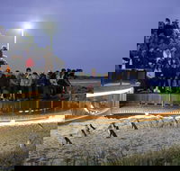 Small-Group Phillip Island Day Trip from Melbourne with Penguin Plus Viewing - Accommodation Sunshine Coast