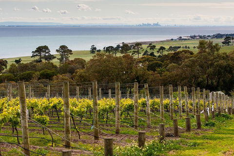Bellarine Peninsula Small Group Wine Tour With 2 Course Lunch And Morning Tea - Accommodation Sunshine Coast 0