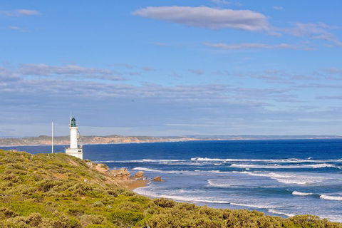 Bellarine Peninsula Small Group Wine Tour With 2 Course Lunch And Morning Tea - Accommodation Sunshine Coast 1
