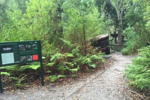 Wilsons Promontory Walking And Sightseeing Tour From Phillip Island - Accommodation Sunshine Coast 1