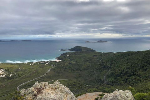 Wilsons Promontory Walking And Sightseeing Tour From Phillip Island - Accommodation Sunshine Coast 7