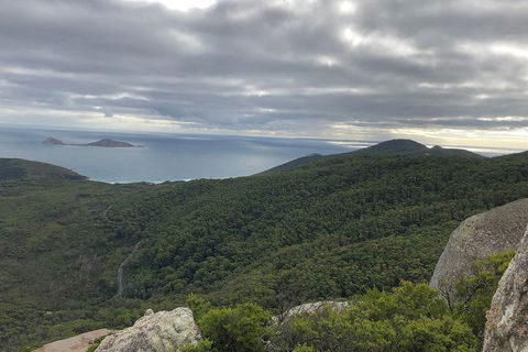 Wilsons Promontory Walking And Sightseeing Tour From Phillip Island - Accommodation Sunshine Coast 5