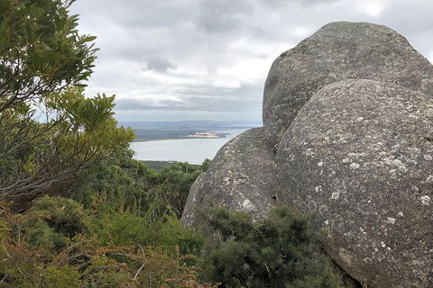 Wilsons Promontory Walking And Sightseeing Tour From Phillip Island - Accommodation Sunshine Coast 15