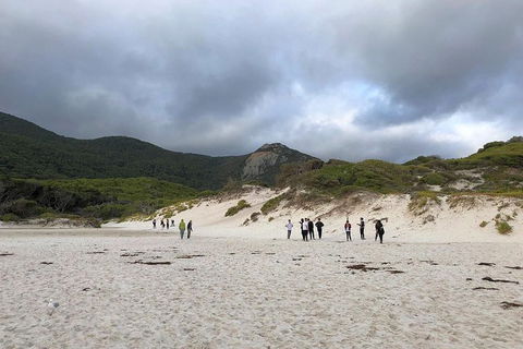 Wilsons Promontory Walking And Sightseeing Tour From Phillip Island - Accommodation Sunshine Coast 4