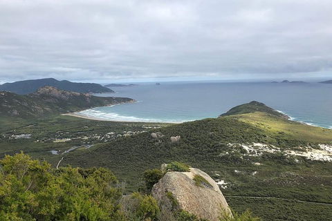 Wilsons Promontory Walking And Sightseeing Tour From Phillip Island - Accommodation Sunshine Coast 12