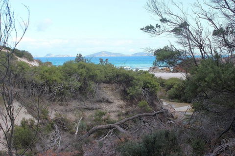 Wilsons Promontory Walking And Sightseeing Tour From Phillip Island - Accommodation Sunshine Coast 14
