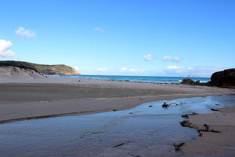 Wilsons Promontory Walking And Sightseeing Tour From Phillip Island - Accommodation Sunshine Coast 3