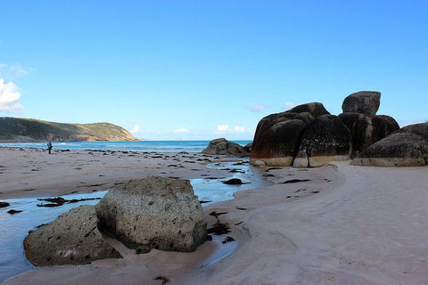 Wilsons Promontory Walking And Sightseeing Tour From Phillip Island - Accommodation Sunshine Coast 10