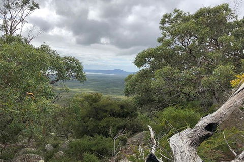 Wilsons Promontory Walking And Sightseeing Tour From Phillip Island - Accommodation Sunshine Coast 13