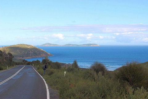 Wilsons Promontory Walking And Sightseeing Tour From Phillip Island - Accommodation Sunshine Coast 2