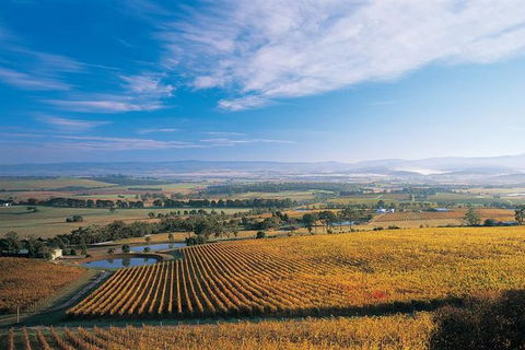 Half Day Yarra Valley Winery Day Trip From Melbourne - Accommodation Sunshine Coast 0