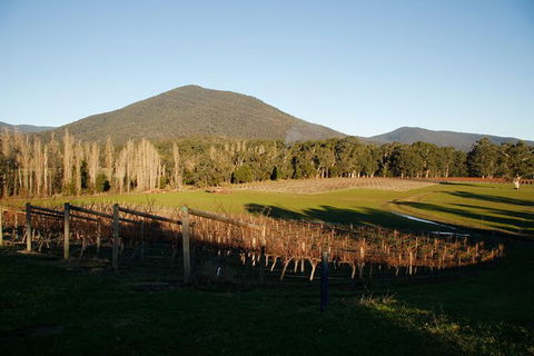 Half Day Yarra Valley Winery Day Trip From Melbourne - Accommodation Sunshine Coast 6