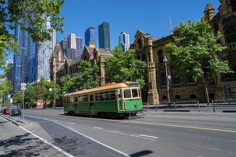 Best Of Melbourne Private Tour With Photos - Accommodation Sunshine Coast 1
