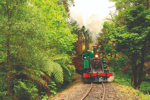 Half Day Puffing Billy Train Journey From Melbourne - Accommodation Sunshine Coast 2