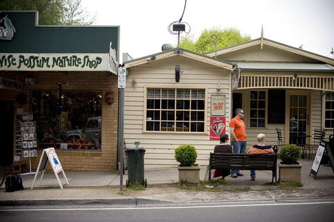 Half Day Puffing Billy Train Journey From Melbourne - Accommodation Sunshine Coast 10