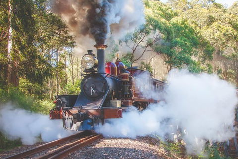 Half Day Puffing Billy Train Journey From Melbourne - Accommodation Sunshine Coast 4