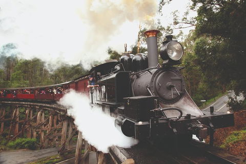 Half Day Puffing Billy Train Journey From Melbourne - Accommodation Sunshine Coast 3