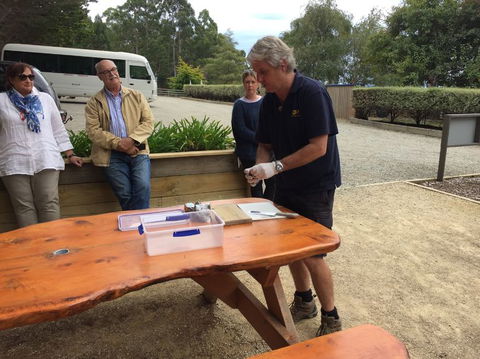 Bruny Island All Inclusive Gourmet Day Trip From Hobart - Accommodation Sunshine Coast 17