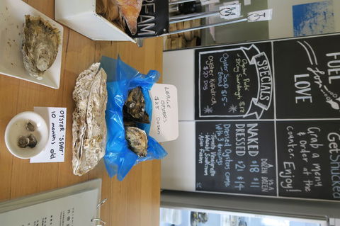 Bruny Island All Inclusive Gourmet Day Trip From Hobart - Accommodation Sunshine Coast 12