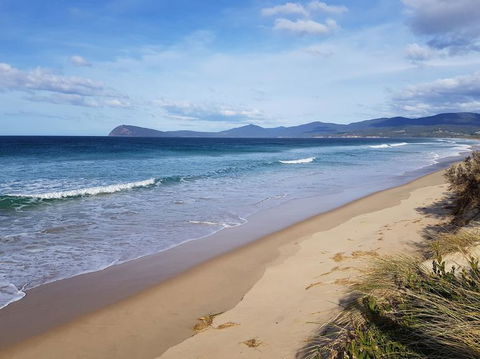 Bruny Island All Inclusive Gourmet Day Trip From Hobart - Accommodation Sunshine Coast 6
