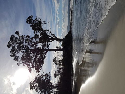 Bruny Island All Inclusive Gourmet Day Trip From Hobart - Accommodation Sunshine Coast 5