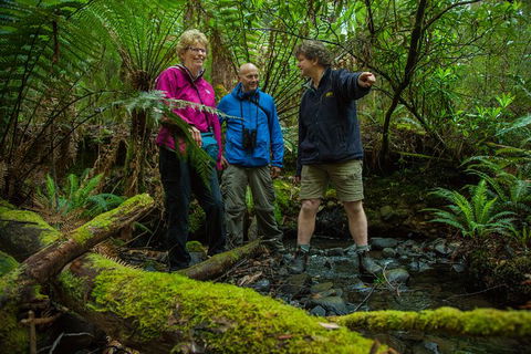 Bruny Island All Inclusive Gourmet Day Trip From Hobart - Accommodation Sunshine Coast 28