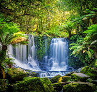 Day Tour in Mt. Field Mt. Wellington Bonorong Wildlife Sanctuary and Richmond - Accommodation Sunshine Coast