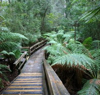 Small-group DayTour from Hobart Hastings Caves Huon Valley and Tahune AirWalk - Accommodation Sunshine Coast