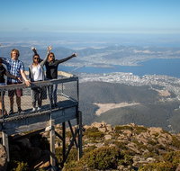 Mt Field National Park Active Day-Trip Including Bonorong and Mt Wellington - Accommodation Sunshine Coast