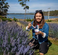 Port Arthur and Lavender Farm Active Day Tour - Accommodation Sunshine Coast