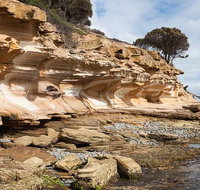 Maria Island premium private photo-oriented day tour from Hobart - Accommodation Sunshine Coast