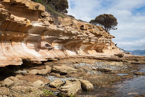 Maria Island Premium Private Photo-oriented Day Tour From Hobart - Accommodation Sunshine Coast 0