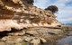 Maria Island Premium Private Photo-oriented Day Tour From Hobart - thumb 2