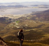 Mt Wellington Half Day Guided Summit Hike - Accommodation Sunshine Coast