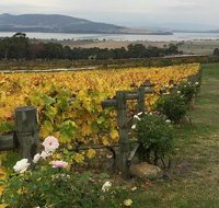 Mona and Wine Experience Tour - Accommodation Sunshine Coast