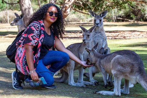 3-Day Tasmania Combo: Hobart To Launceston Active Tour - Accommodation Sunshine Coast 19