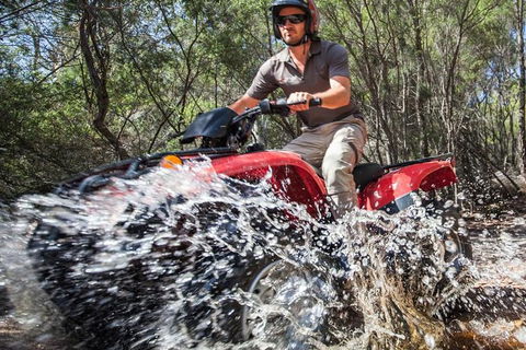 Half-Day Guided ATV Exploration Tour From Coles Bay - Accommodation Sunshine Coast 1
