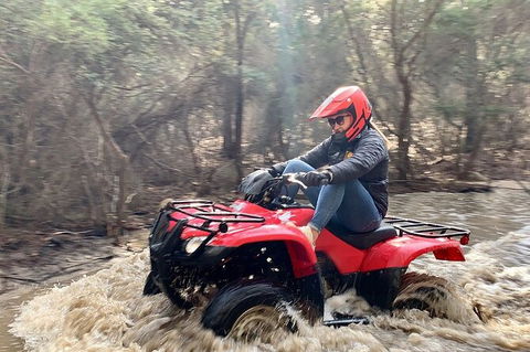 Half-Day Guided ATV Exploration Tour From Coles Bay - Accommodation Sunshine Coast 7