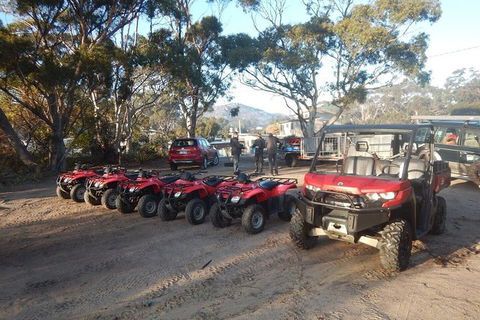 Half-Day Guided ATV Exploration Tour From Coles Bay - Accommodation Sunshine Coast 4