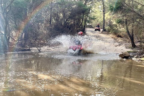 Half-Day Guided ATV Exploration Tour From Coles Bay - Accommodation Sunshine Coast 3