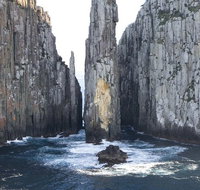 Day Trip to Tasman Peninsula and Port Arthur Historic Site from Hobart - Accommodation Sunshine Coast