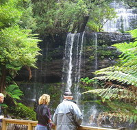 Mt Field National Park and Russell Falls from Hobart - Accommodation Sunshine Coast