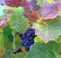 Wine at the weekend Tour from Hobart - Accommodation Sunshine Coast
