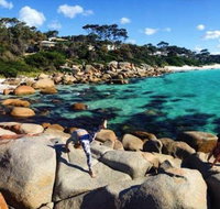 4-Day Tasmania East Coast Adventure from Launceston to Hobart Including Bay of Fires Wineglass Bay Bruny Island and Port Arthu - Accommodation Sunshine Coast