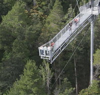 Cruise Ship Special from Hobart Mt Wellington and Tahune AirWalk - Accommodation Sunshine Coast