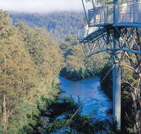 Small-groupTour from Hobart Mt. Wellington Huon Valley and Tahune AirWalk - Accommodation Sunshine Coast
