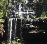 Private Mt Field National Park Day Trip from Hobart Including Salmon Ponds and Bonorong Wildlife Sanctuary - Accommodation Sunshine Coast