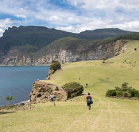 Maria Island National Park - Day Walk and Picnic Lunch - Accommodation Sunshine Coast