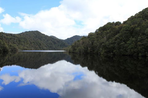 Gordon River Cruise Departing From Strahan - Accommodation Sunshine Coast 21